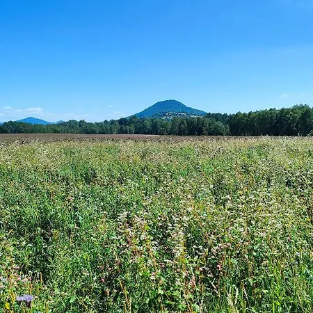 Villa Exclusive Retreat Slavinka
