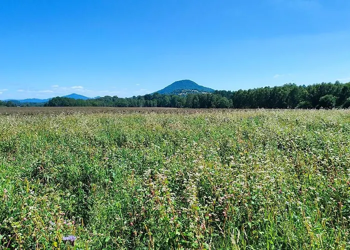 Vila Exclusive Retreat Slavinka
